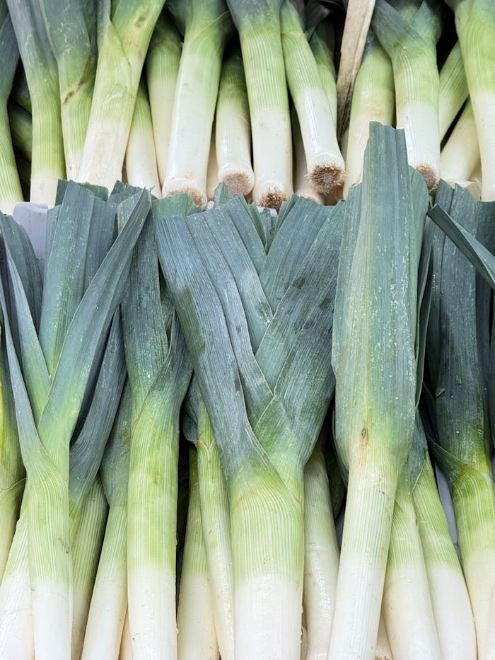 Close-up of fresh leeks arranged neatly, showcasing their vibrant green leaves and white stalks at a Berlin market.